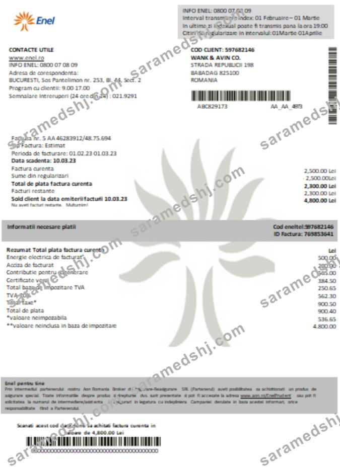 Enel electricity proof of address utility business bill SCR